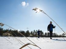 Finnish Wilderness Week