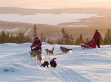 Dogsledding