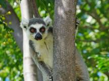 Trekking in Madagascar