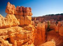 Trek America: Canyons & National Parks