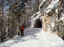 Italian Dolomites Cross-country Skiing