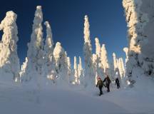 Snowshoeing in Finland