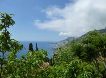 Walks & Gardens of the French Riviera