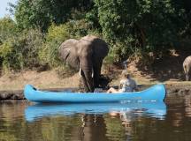 Zambezi Canoe Safari