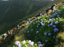 Walking in the Azores