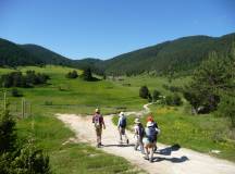 Bulgaria: Rodopi Mountains