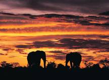 Namibia & Botswana: Dunes & Delta