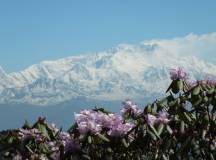 Darjeeling, Sikkim & the Singalila Ridge