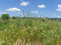 Walking in Puglia & Matera