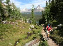 Canadian Rockies: Heli-Hike & Wilderness