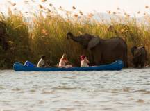 Zambezi Canoe Safari