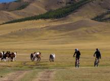 Cycling in Mongolia