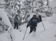 Norway Cross-country Skiing