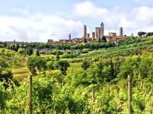 Tuscany Walks & Chianti Wines