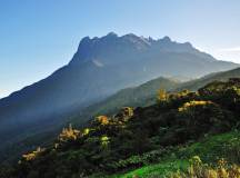 Trekking Borneo & Beyond