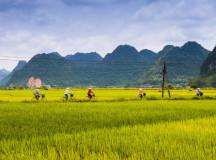 asian countryside