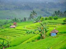 Cycling Indonesia’s Islands