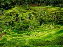 Cycling Indonesia’s Islands