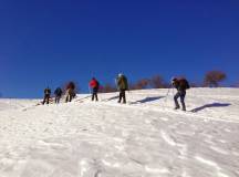 Transylvania Winter Walk & Snowshoe