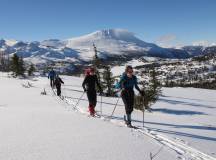 Norway Cross-country Skiing