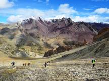 Trekking amidst the Ladakhi Himalaya