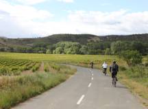 Cycling through Rioja vineyards