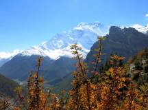 Annapurna Circuit