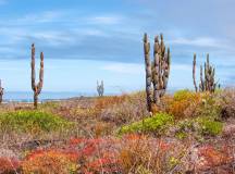 Island Hopping in the Galapagos