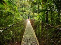 Hanging bridges