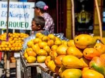 Cycle Nicaragua, Costa Rica & Panama