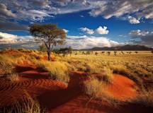 Naukluft reserve, namibia