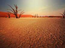 Dead Valley in Namibia