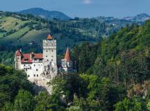 Carpathian Walking & Bears