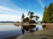 Whales & Bears of British Columbia