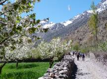 Mt Toubkal Climb