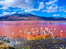 Laguna Colorada, Salar de Uyuni, Bolivia