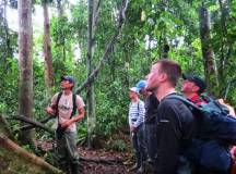 Peru Amazon Family