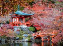 Autumn arrives in the temple gardens, Japan