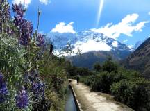 The Salkantay Trek