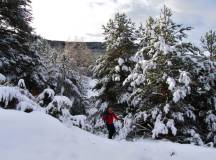 Snowshoeing