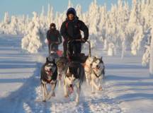 Dogsledding