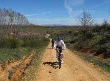 Cycle the Camino de Santiago