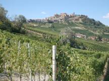 Cycling the Wine Villages of Piedmont