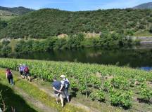 Portugal: Walking & Wine – Premium Adventure