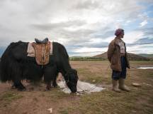 Cycling in Mongolia