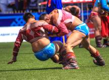 Wrestling during the Naadam Festival
