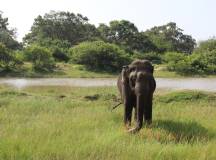 Walking Trails of Sri Lanka