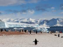 Epic Antarctica: Falklands, South Georgia & Antarctic Circle Crossing via Buenos Aires