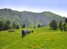 walking in Bosnia