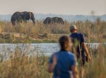 Zambezi Canoe Safari